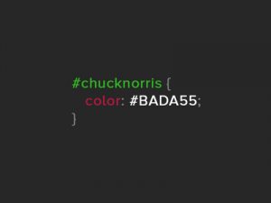 Chuck Norris in code